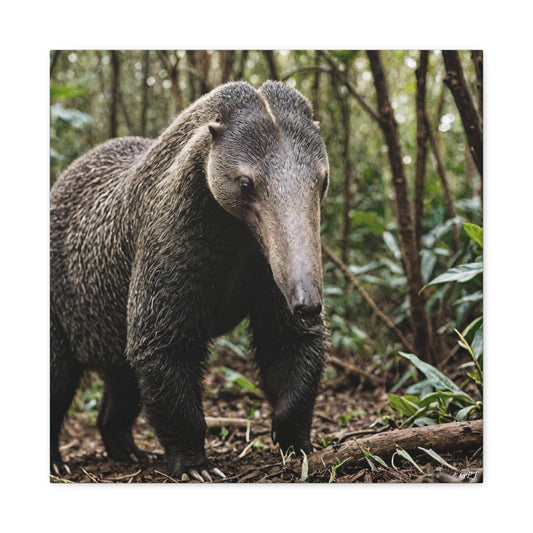Giant Anteater (101) - Great Pictures Framed