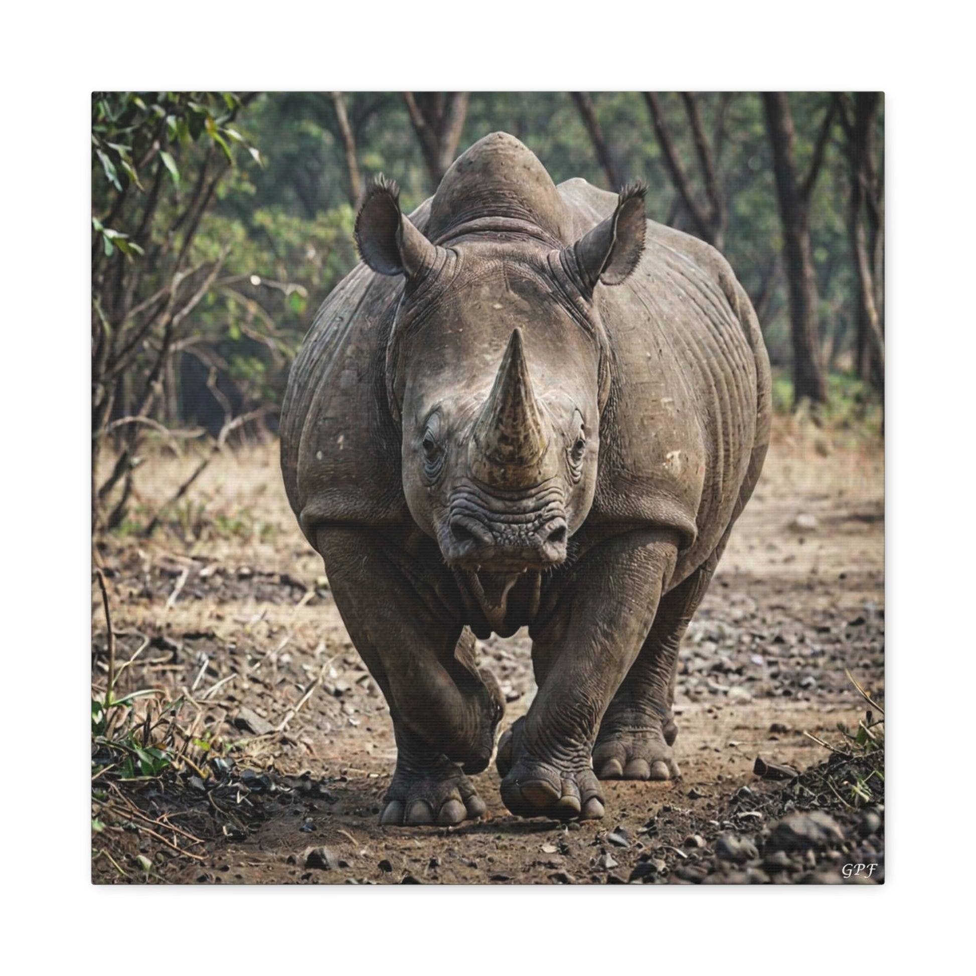 Indian Rhinoceros (170) - Great Pictures Framed