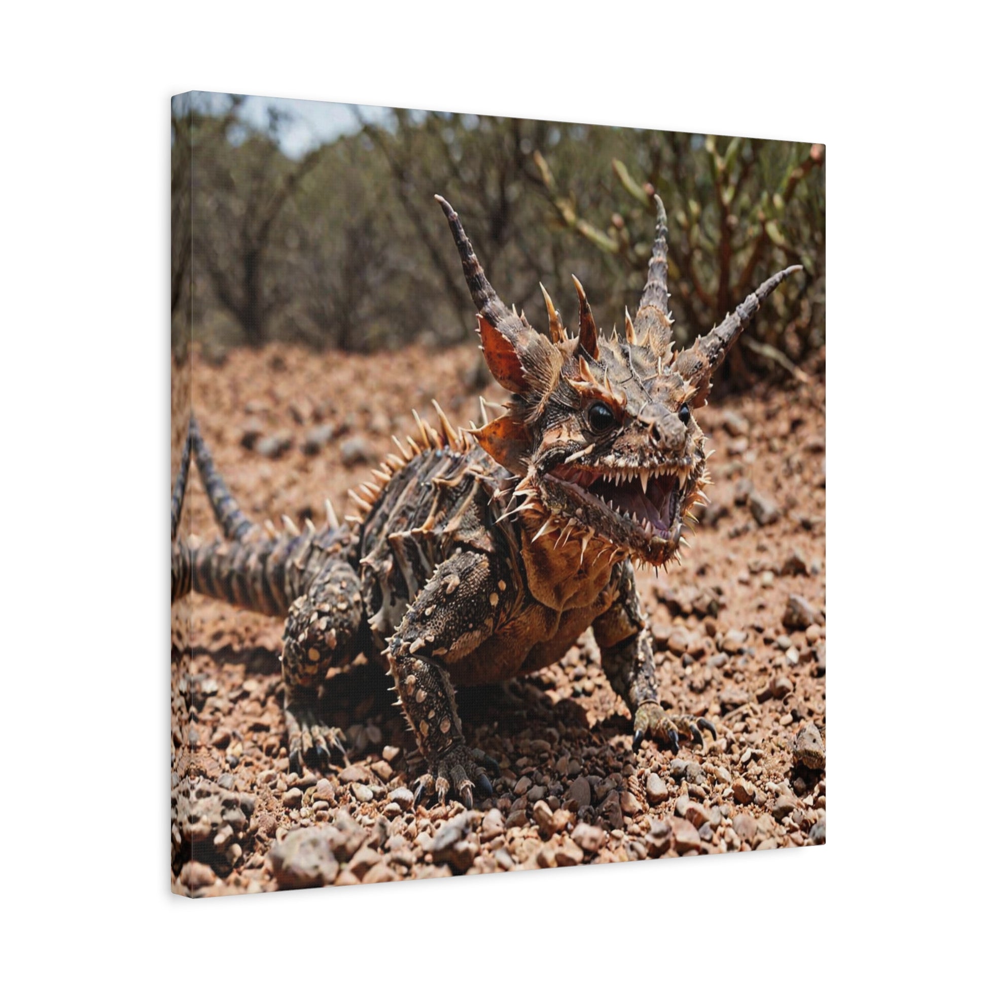 Thorny Devil (35) - Great Pictures Framed