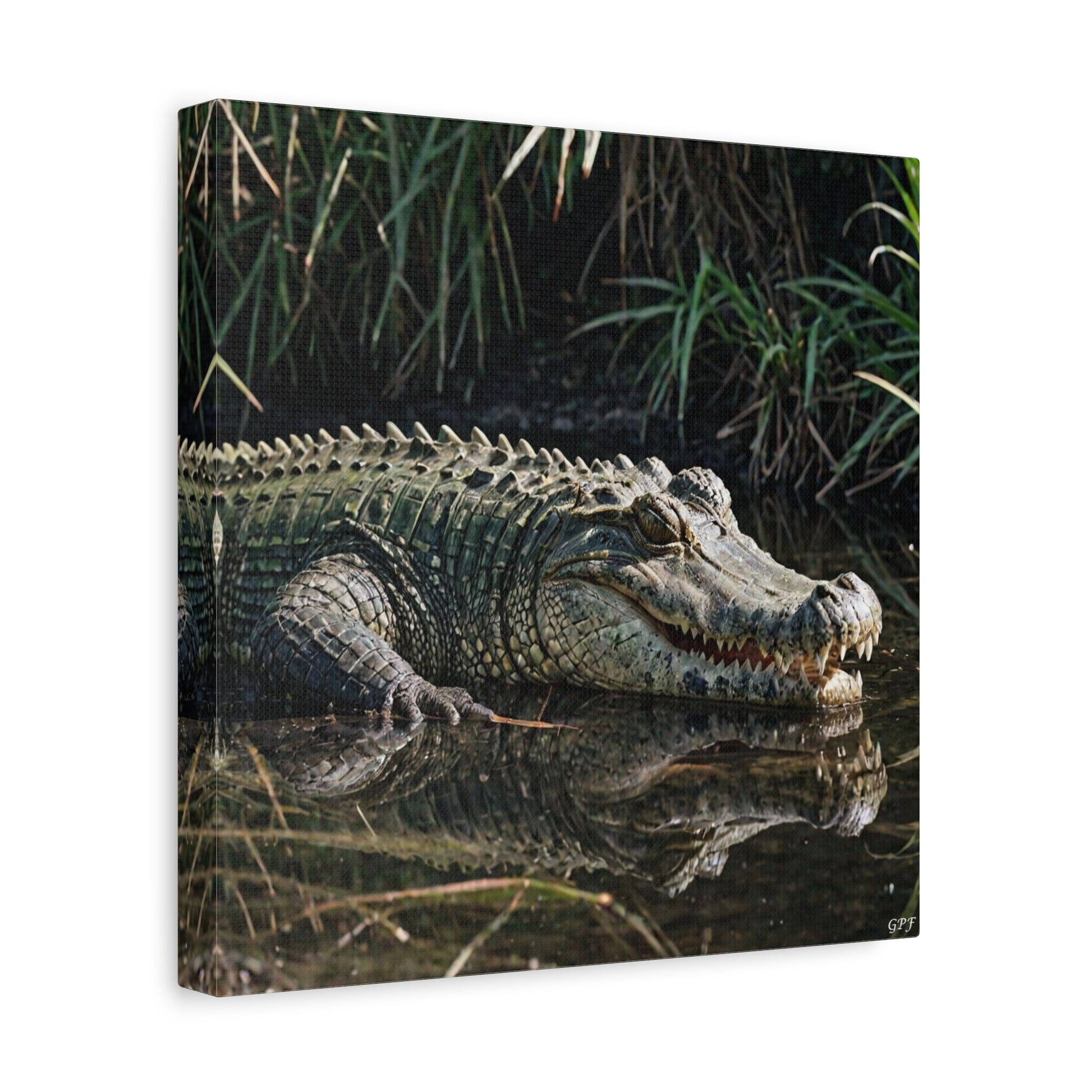 Crocodile (031) - Great Pictures Framed