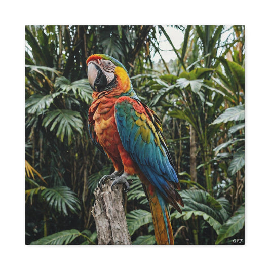 Macaw (093) - Great Pictures Framed