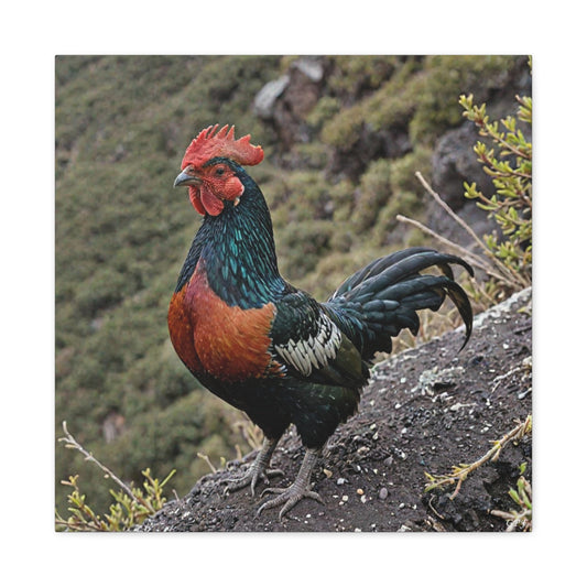 Andean Cock-of-the-rock (0203) - Great Pictures Framed