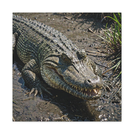 Saltwater Crocodile (29) - Great Pictures Framed