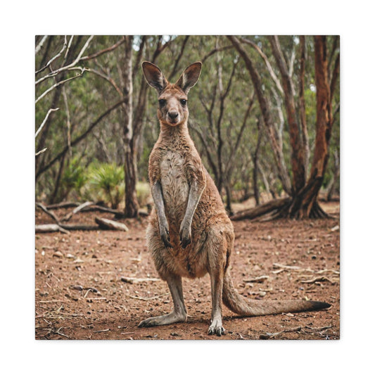 Kangaroo (17) - Great Pictures Framed