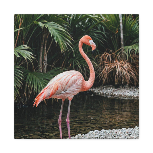 Flamingo (039)