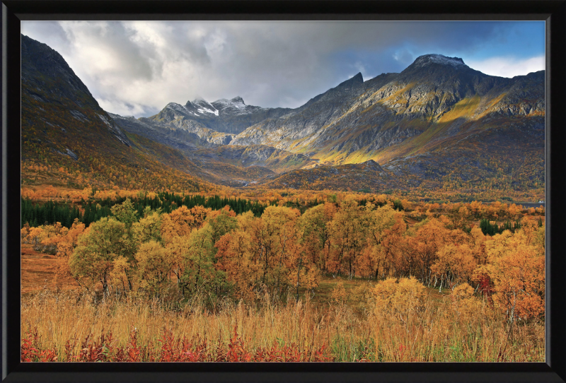 Autumn Landscape near Gullesfjordbotn, Hinnøya - Great Pictures Framed