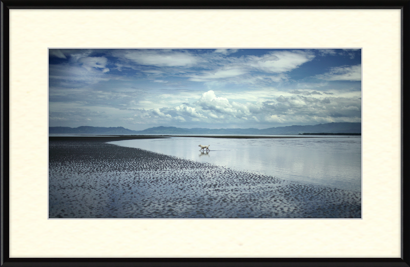 Seascape in Mindanao, Philippines, At Low Tide - Great Pictures Framed