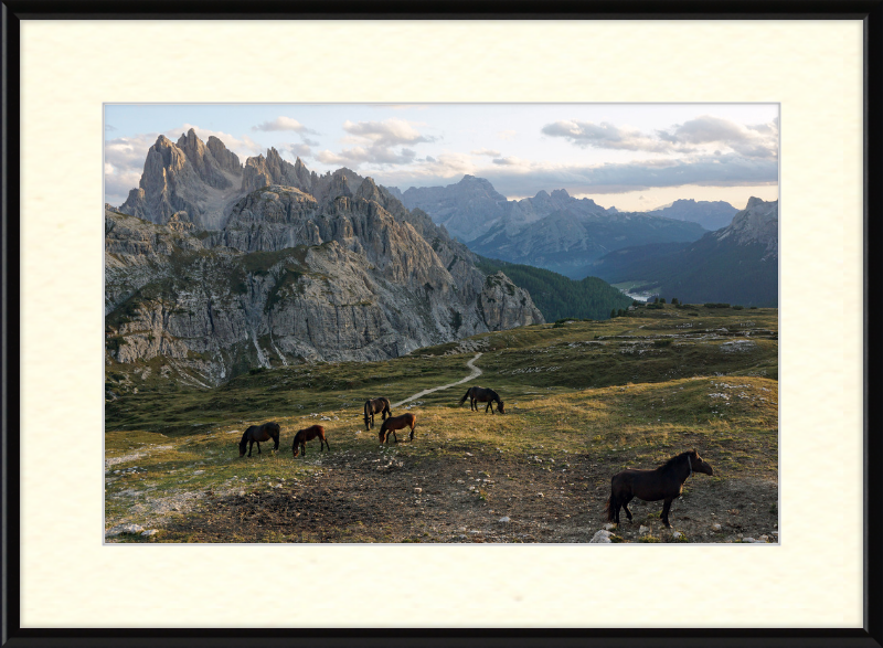 Parco Naturale Tre Cime with Horses - Great Pictures Framed