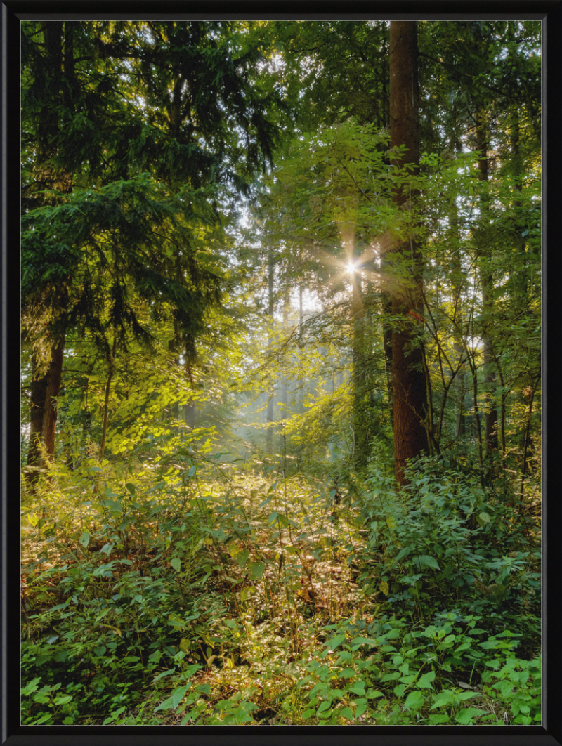 Dülmen, Göversheide - Great Pictures Framed