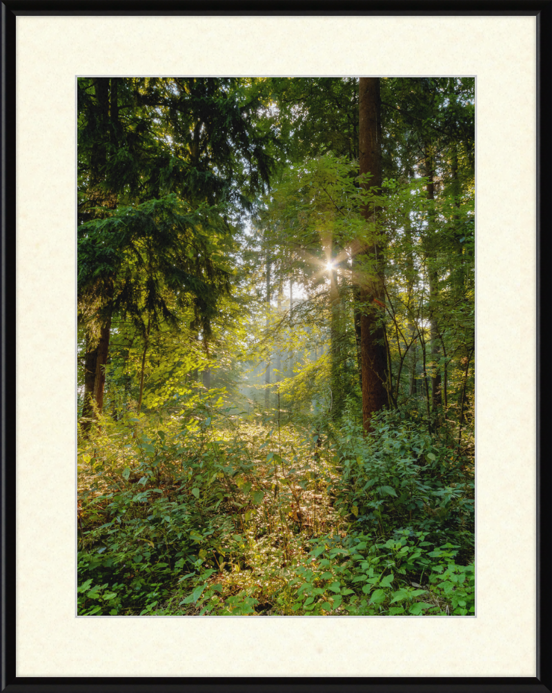 Dülmen, Göversheide - Great Pictures Framed