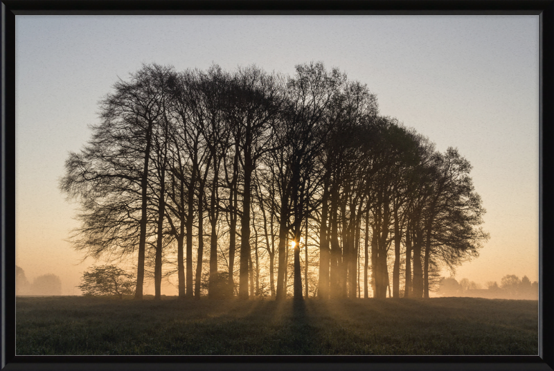 Dülmen, Umland - Great Pictures Framed