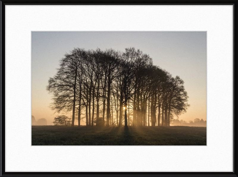 Dülmen, Umland - Great Pictures Framed