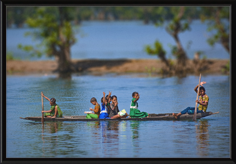 Ratargul - Great Pictures Framed