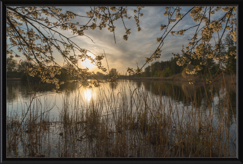 Oedlerteich in Kirchspiel, Dülmen - Great Pictures Framed