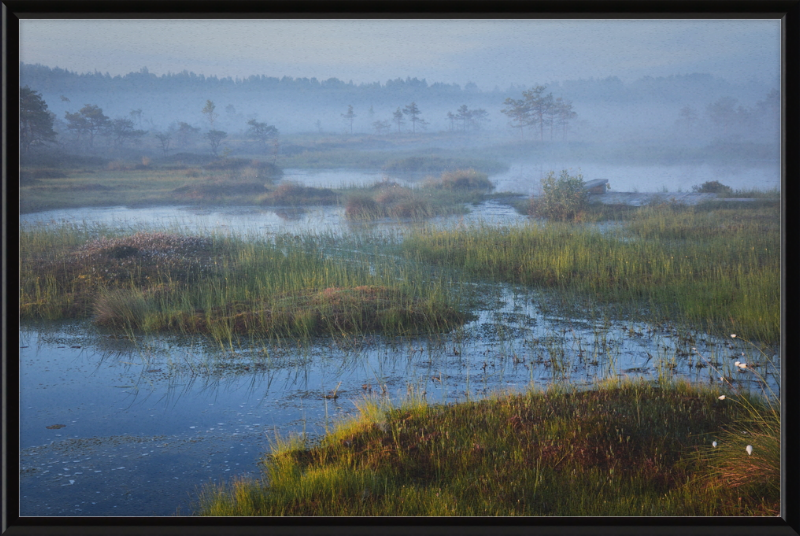 Riisa Bog in the Early Morning - Great Pictures Framed