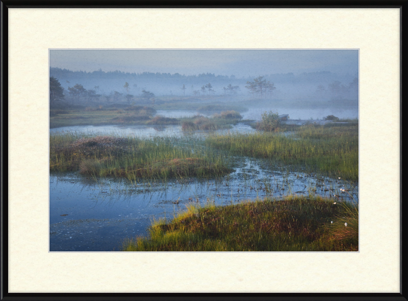 Riisa Bog in the Early Morning - Great Pictures Framed