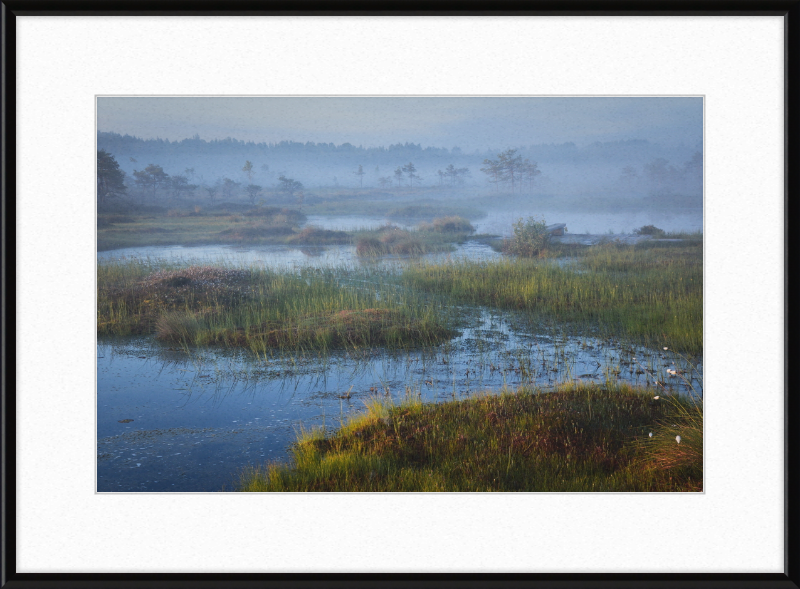 Riisa Bog in the Early Morning - Great Pictures Framed