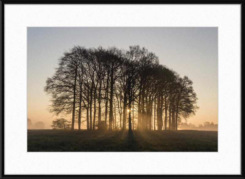 Dülmen, Umland - Great Pictures Framed