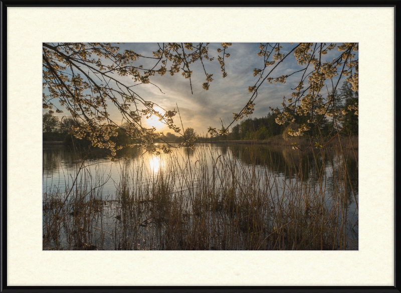 Oedlerteich in Kirchspiel, Dülmen - Great Pictures Framed