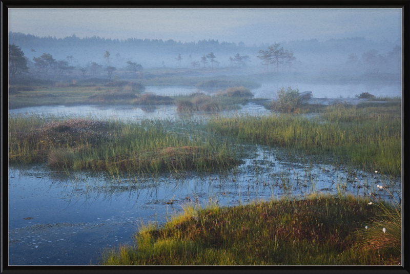 Riisa Bog in the Early Morning - Great Pictures Framed