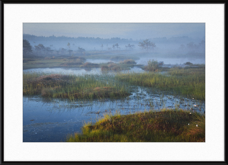 Riisa Bog in the Early Morning - Great Pictures Framed