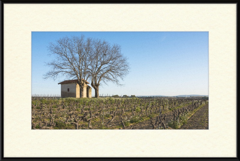 Mazet in Vineyards, Mèze - Great Pictures Framed