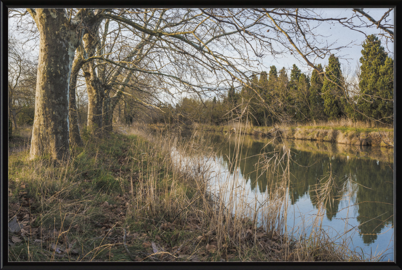 Canal du Midi - Great Pictures Framed