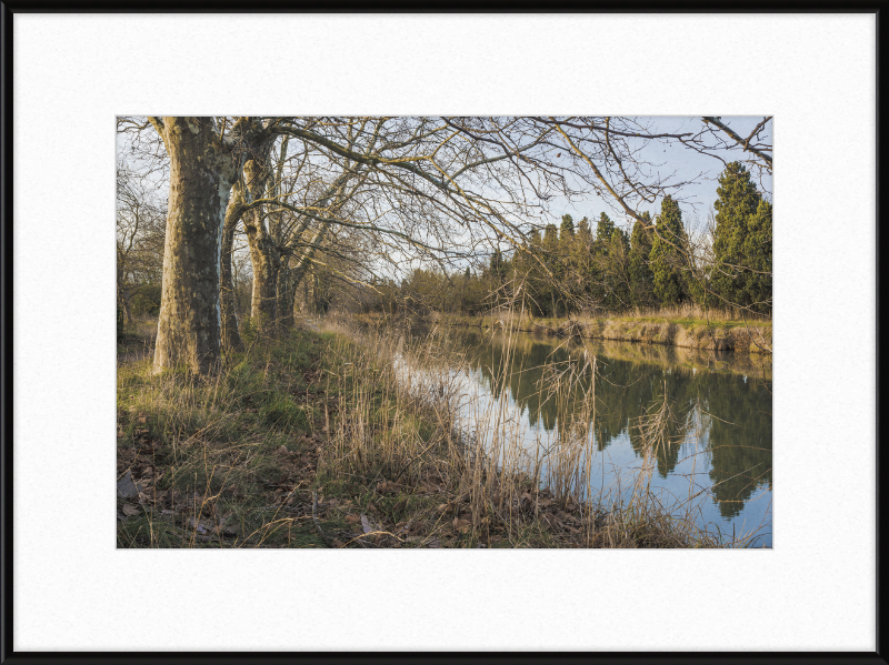 Canal du Midi - Great Pictures Framed