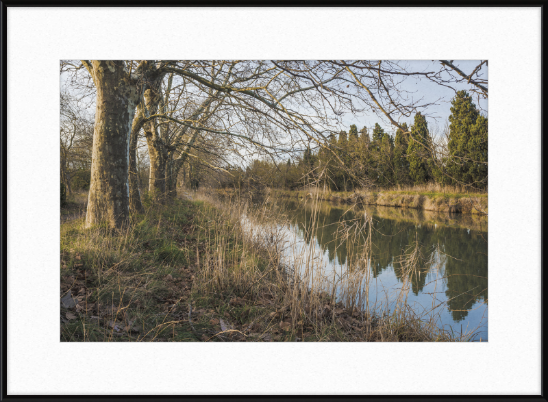 Canal du Midi - Great Pictures Framed