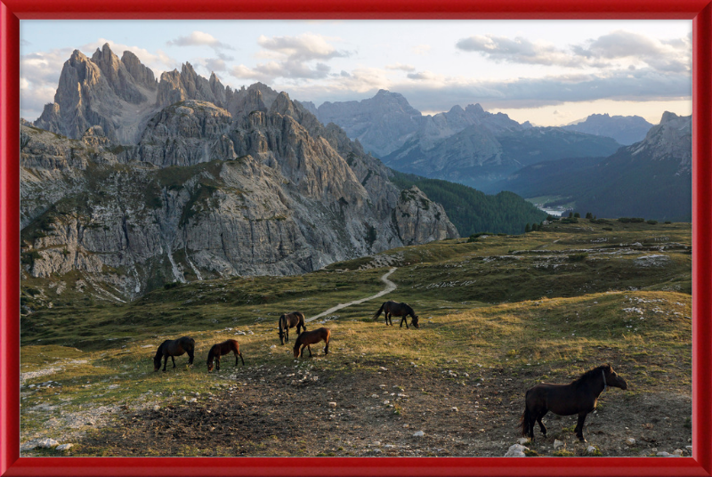 Parco Naturale Tre Cime with Horses - Great Pictures Framed