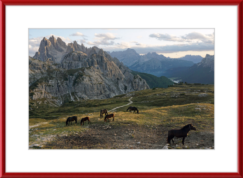 Parco Naturale Tre Cime with Horses - Great Pictures Framed