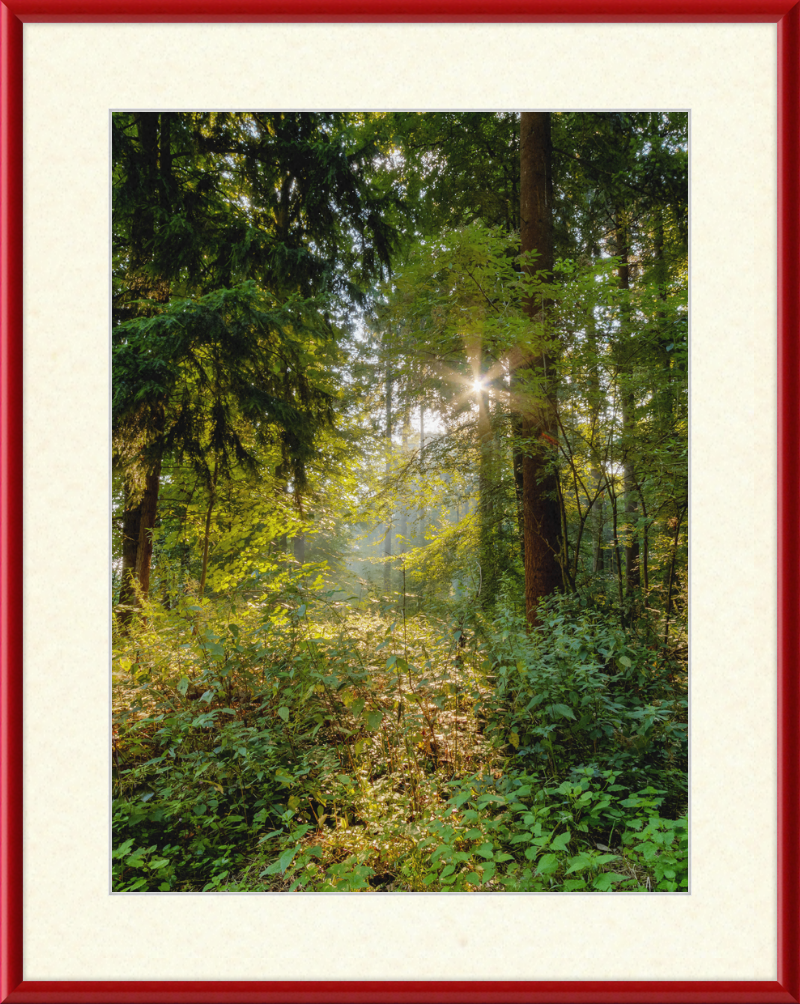 Dülmen, Göversheide - Great Pictures Framed