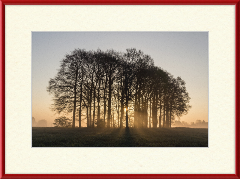 Dülmen, Umland - Great Pictures Framed