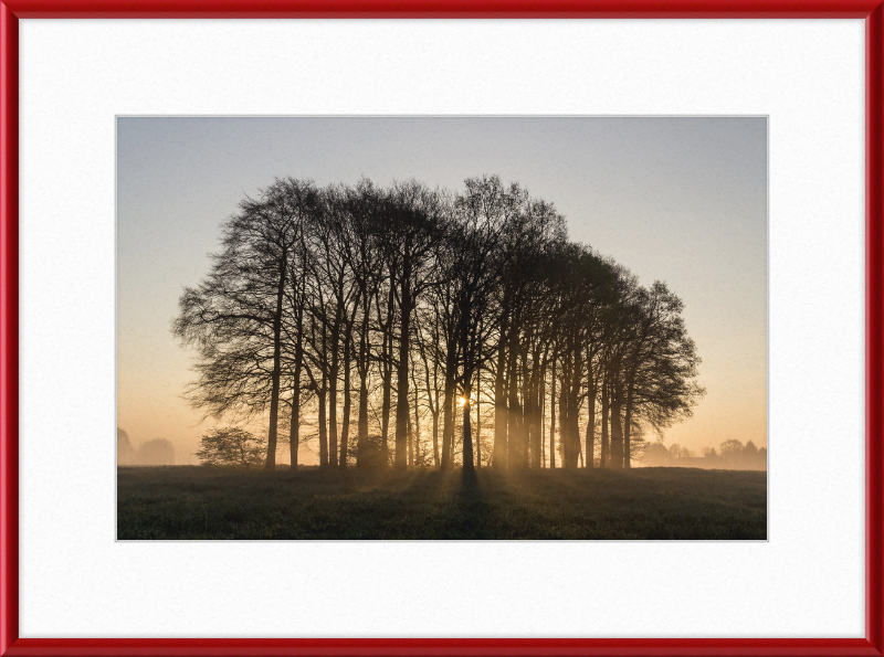 Dülmen, Umland - Great Pictures Framed