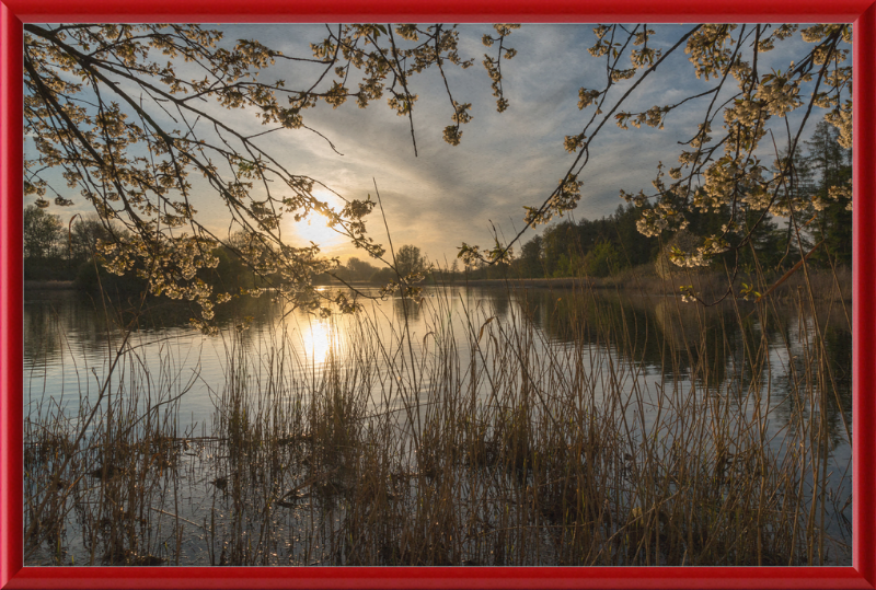 Oedlerteich in Kirchspiel, Dülmen - Great Pictures Framed