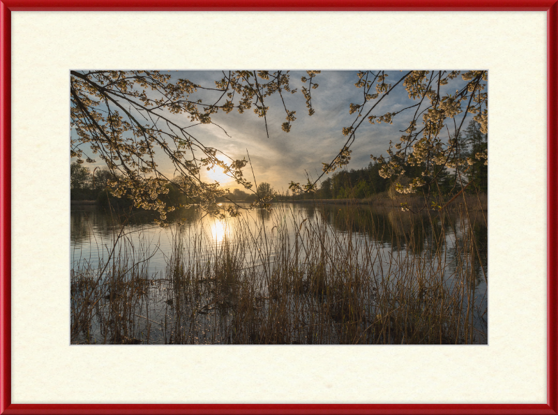 Oedlerteich in Kirchspiel, Dülmen - Great Pictures Framed