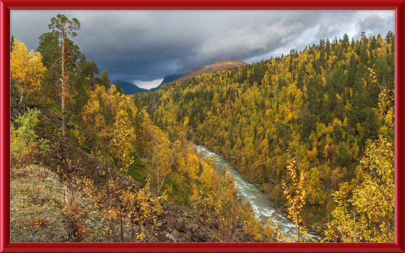 Graddiselva River in Junkerdalen, Saltdal, Nordland, Norway - Great Pictures Framed