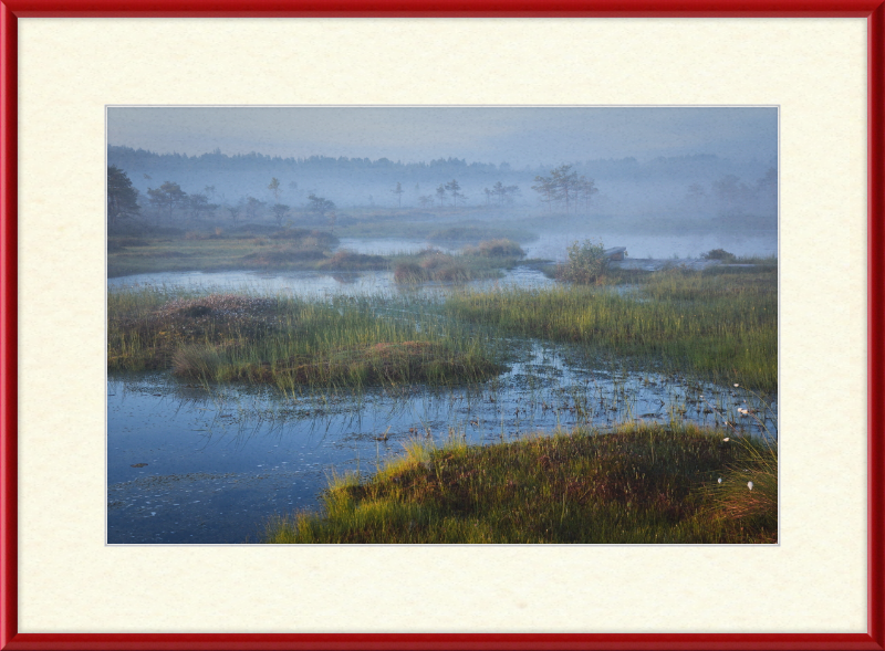 Riisa Bog in the Early Morning - Great Pictures Framed