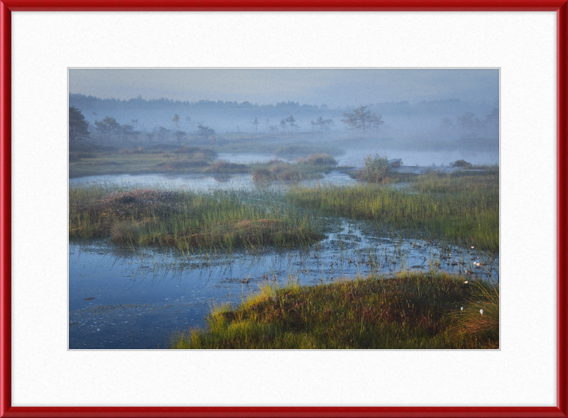 Riisa Bog in the Early Morning - Great Pictures Framed