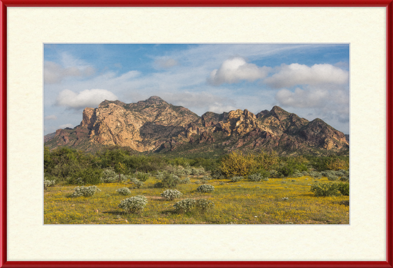 San Carlos Sonora Landscape - Great Pictures Framed