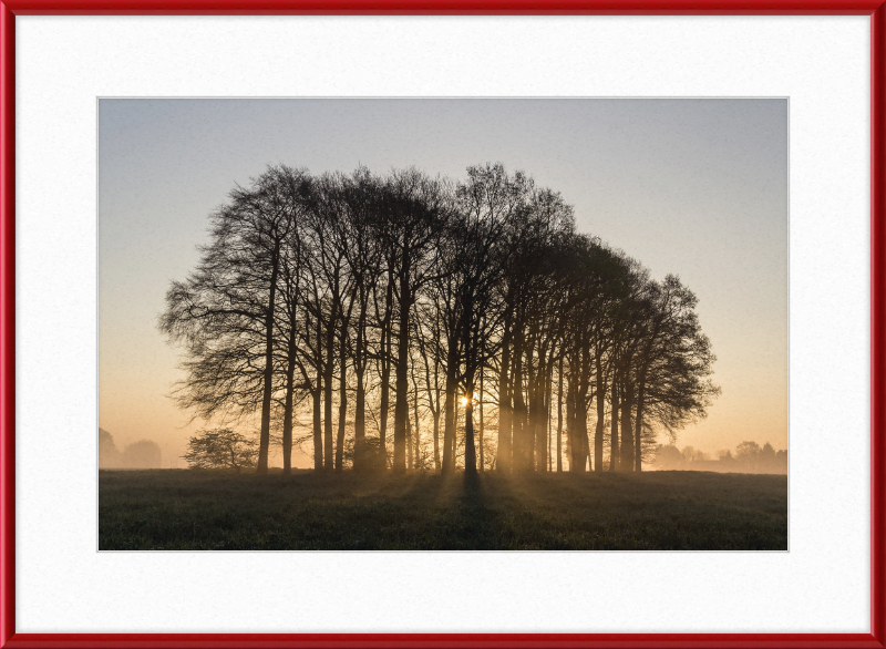 Dülmen, Umland - Great Pictures Framed