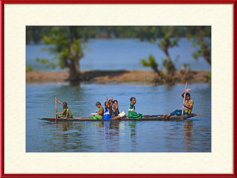 Ratargul - Great Pictures Framed