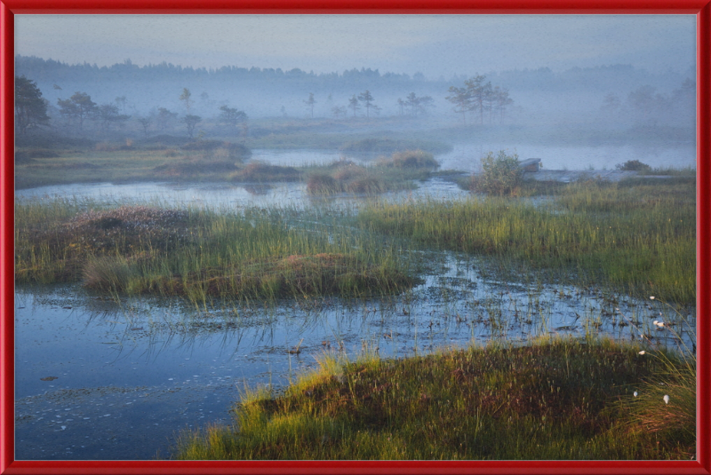 Riisa Bog in the Early Morning - Great Pictures Framed