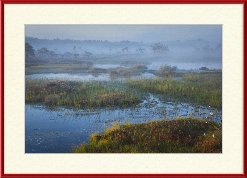 Riisa Bog in the Early Morning - Great Pictures Framed