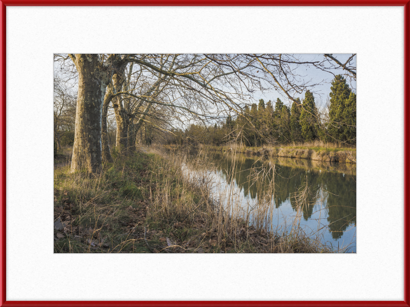 Canal du Midi - Great Pictures Framed