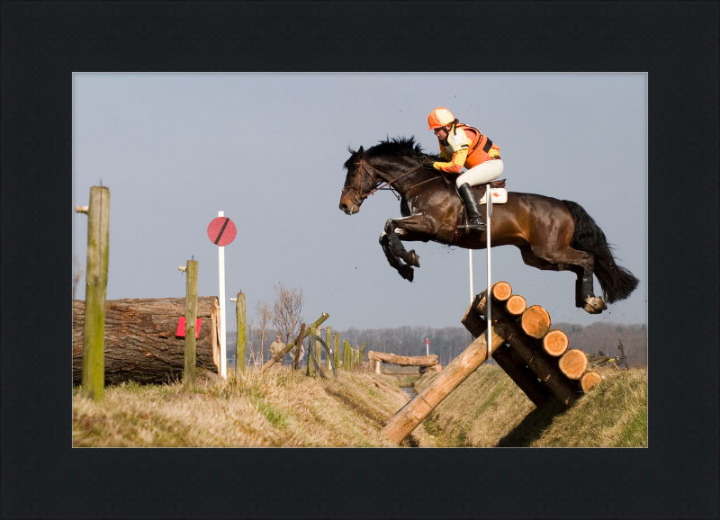 A Horse Handling a Ditch in a Steeple Chase - Great Pictures Framed