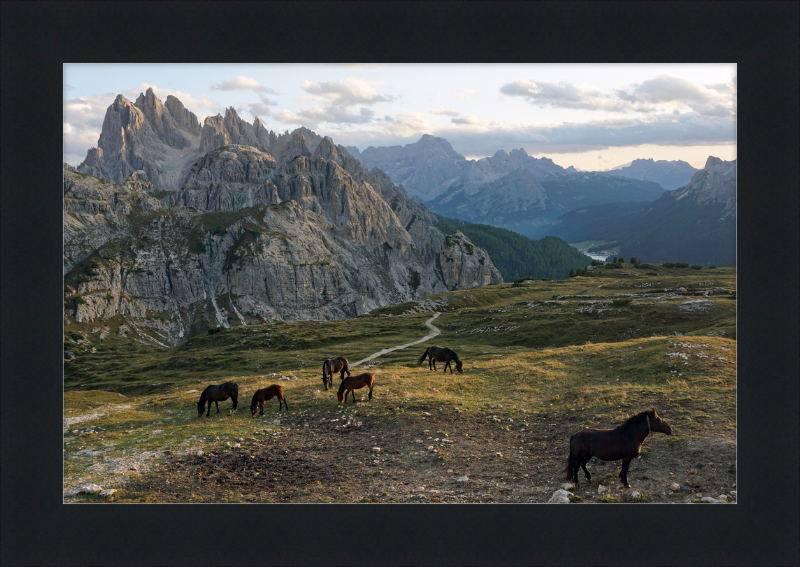 Parco Naturale Tre Cime with Horses - Great Pictures Framed