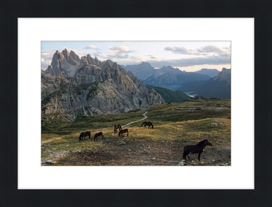 Parco Naturale Tre Cime with Horses - Great Pictures Framed
