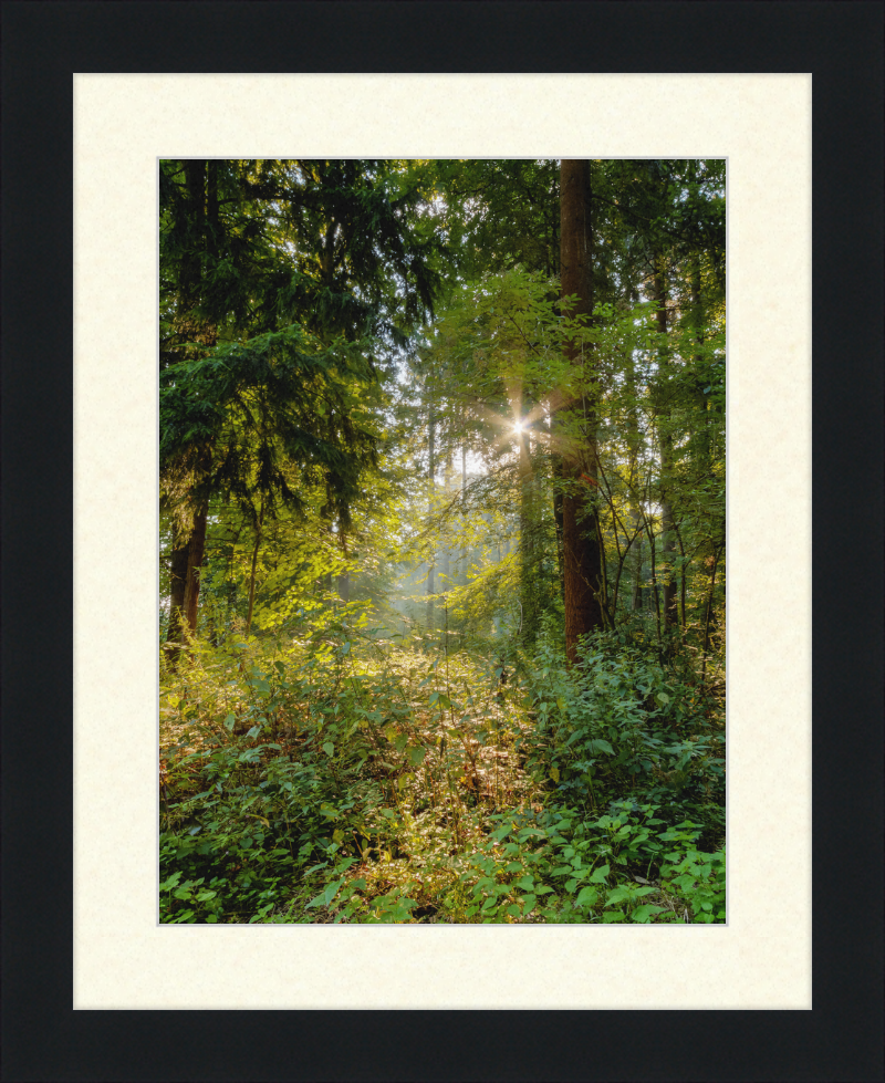 Dülmen, Göversheide - Great Pictures Framed