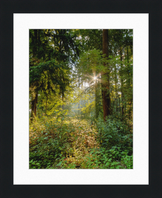 Dülmen, Göversheide - Great Pictures Framed